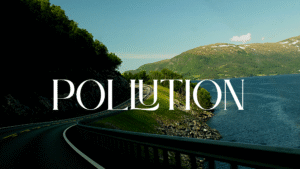 Essay On Pollution