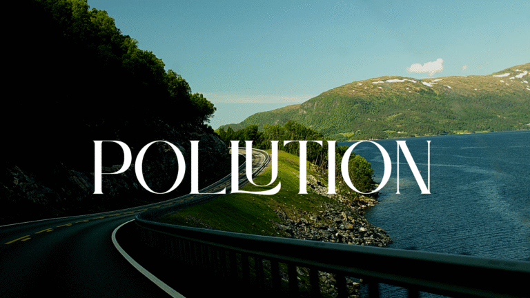 Essay On Pollution