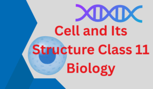Cell and Its Structure Class 11 Biology