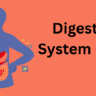 Digestive System MCQ for NEET and Class 11