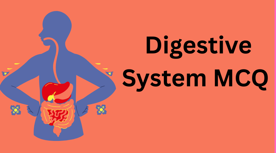 Digestive System MCQ for NEET and Class 11