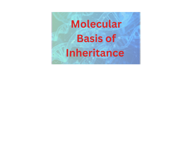 Molecular Basis of Inheritance 