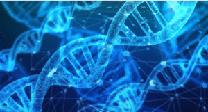 Molecular Basis of Inheritance 