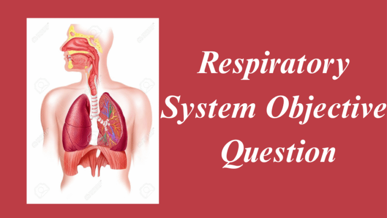 Respiratory System