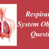 Respiratory System