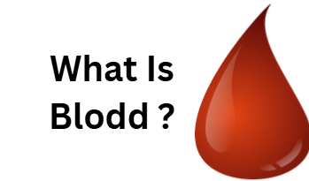 What is Blood