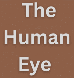  The Human Eye 