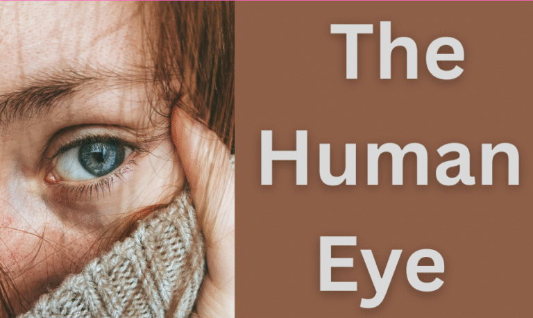  The Human Eye