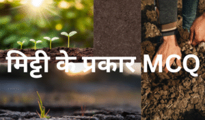 मिट्टी के प्रकार MCQ