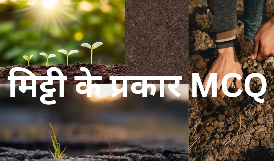 मिट्टी के प्रकार MCQ