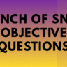 A Pinch of Snuff Objective Questions