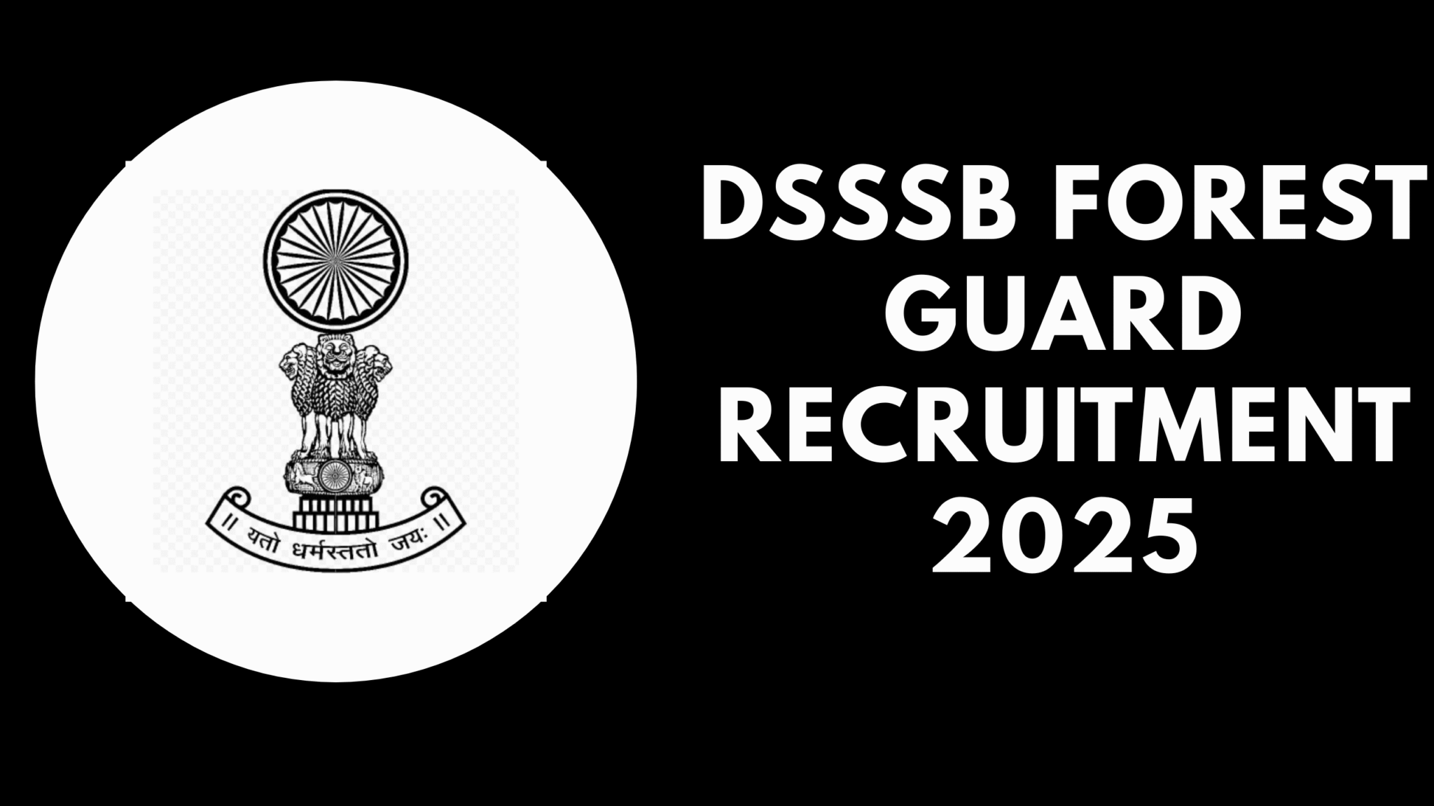 DSSSB Forest Guard Recruitment 2025 – Notification, Eligibility ...