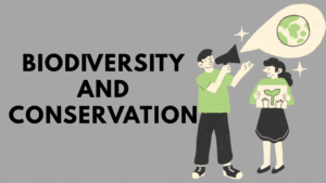 Biodiversity and Conservation