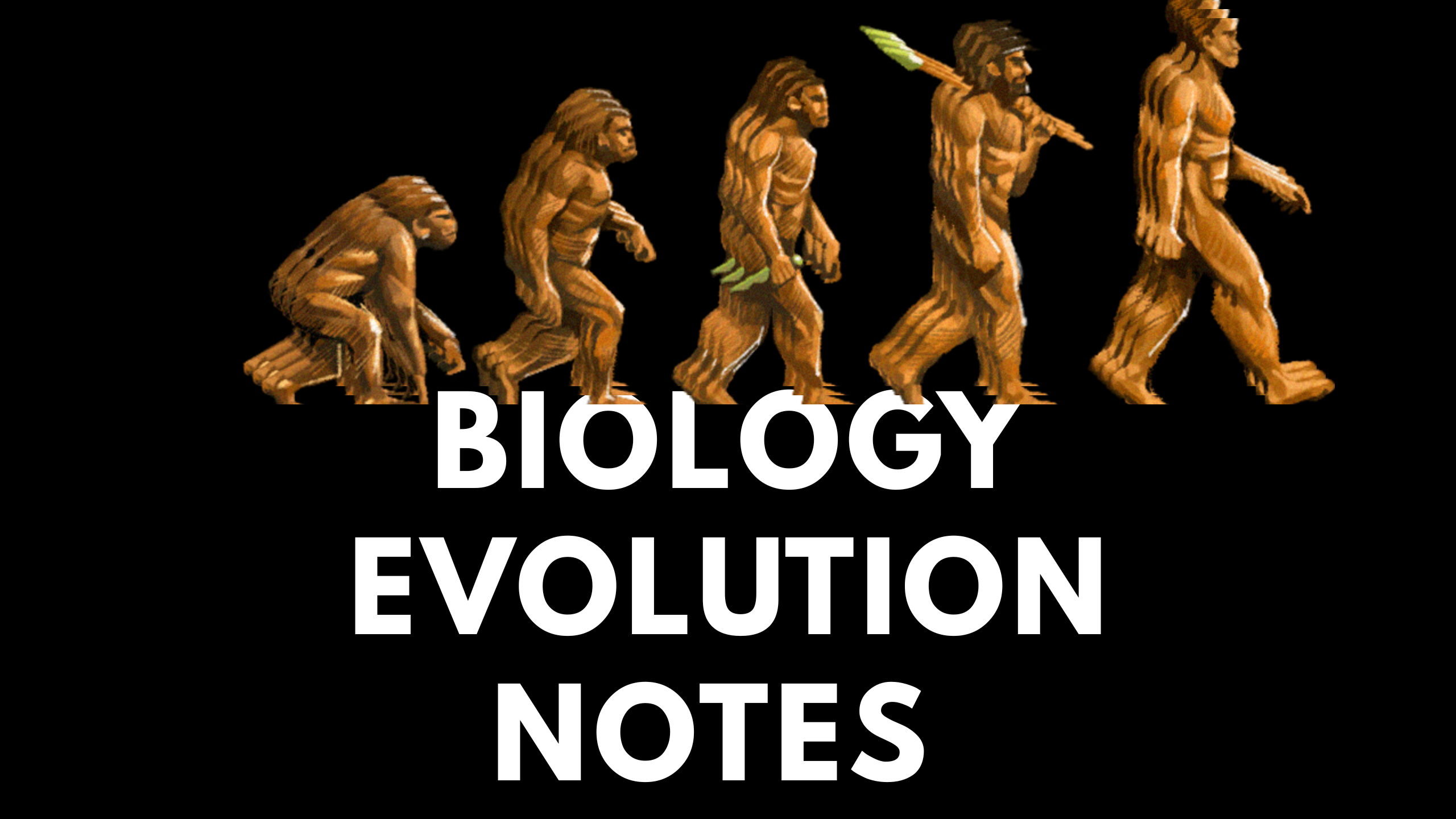 Biology Evolution Notes