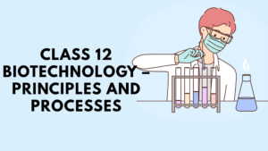 Class 12 Biotechnology – Principles and Processes