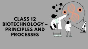 Class 12 Biotechnology – Principles and Processes