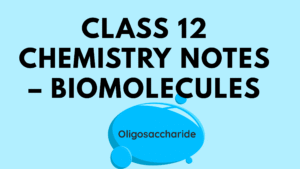Class 12 Chemistry Notes – Biomolecules