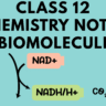 Class 12 Chemistry Notes – Biomolecules