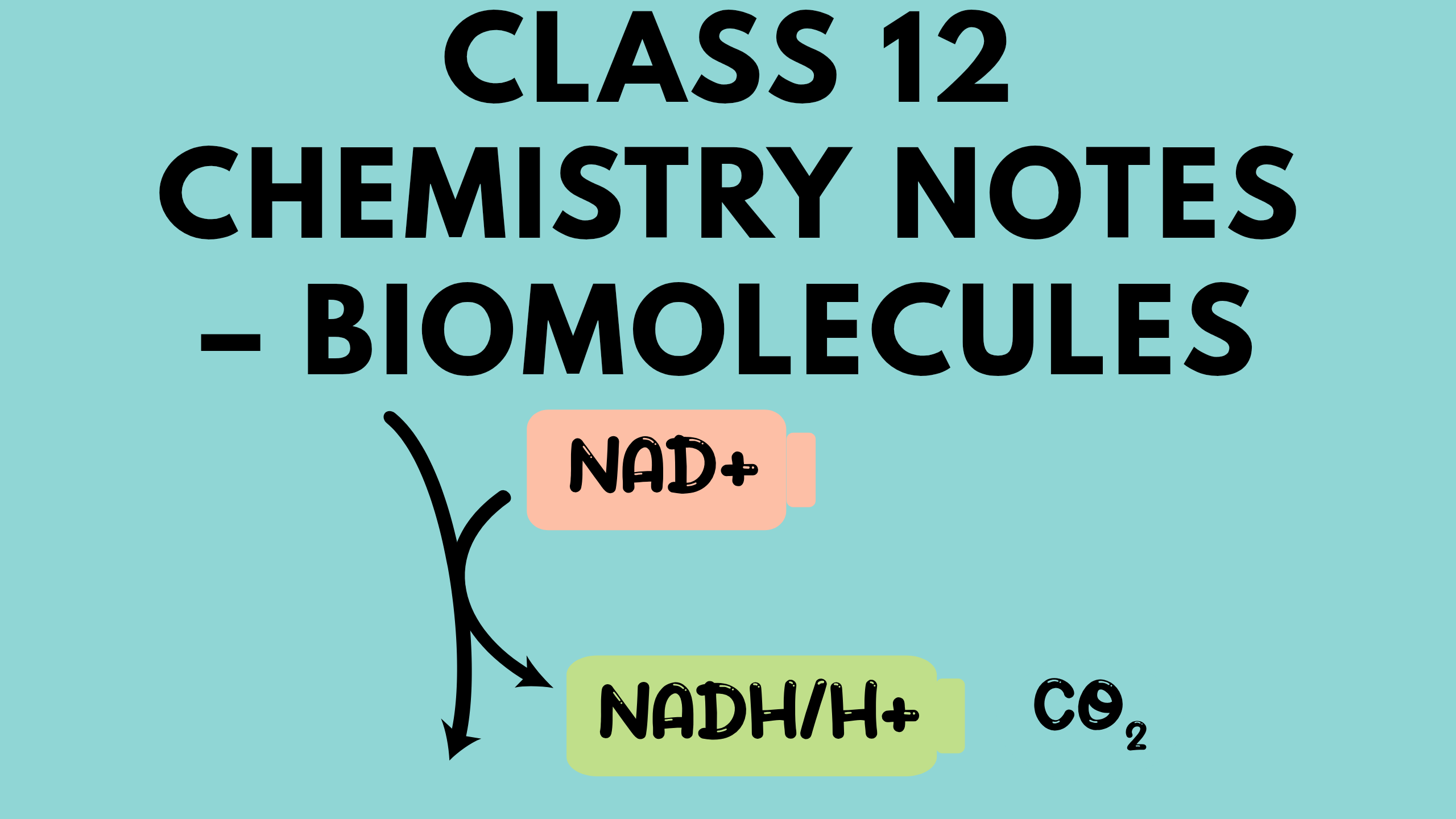 Class 12 Chemistry Notes – Biomolecules
