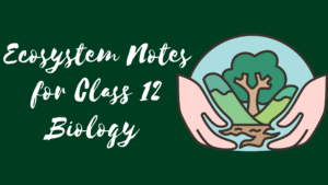 Ecosystem Notes for Class 12 Biology