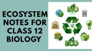 Ecosystem Notes for Class 12 Biology