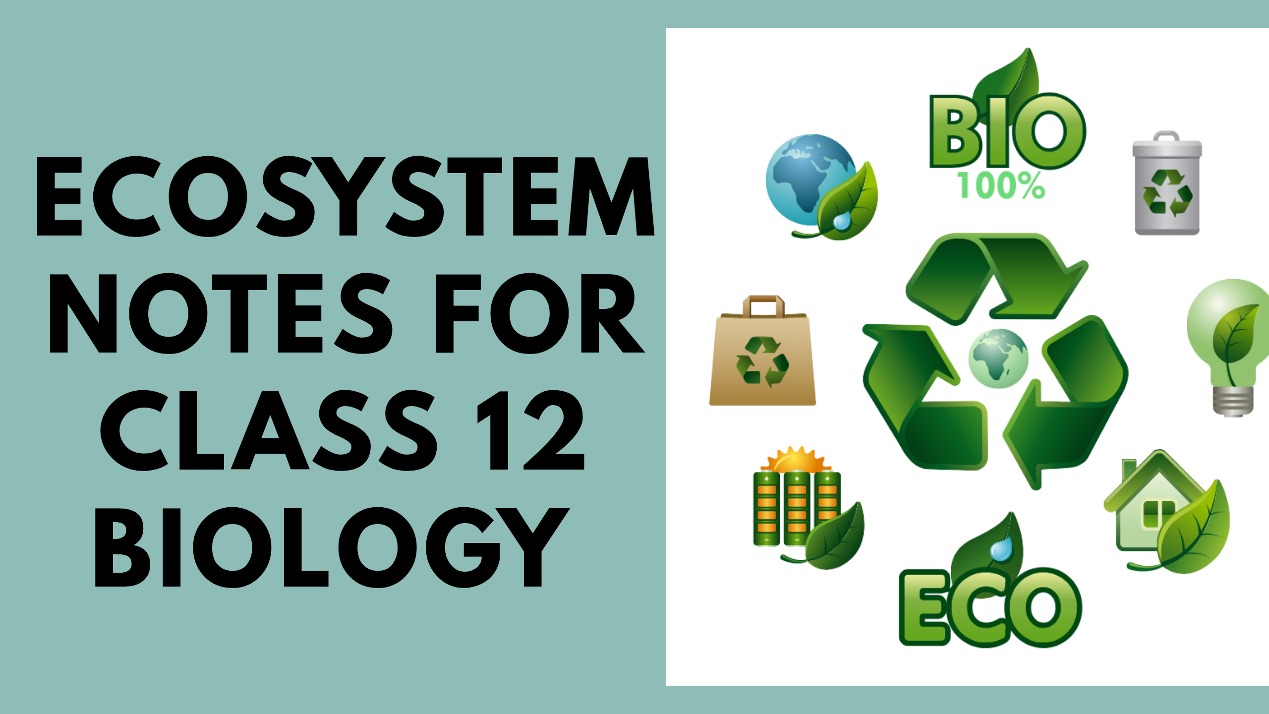 Ecosystem Notes for Class 12 Biology