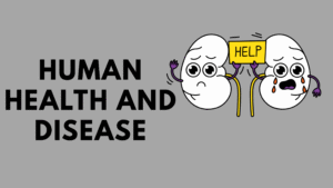 Human Health and Disease