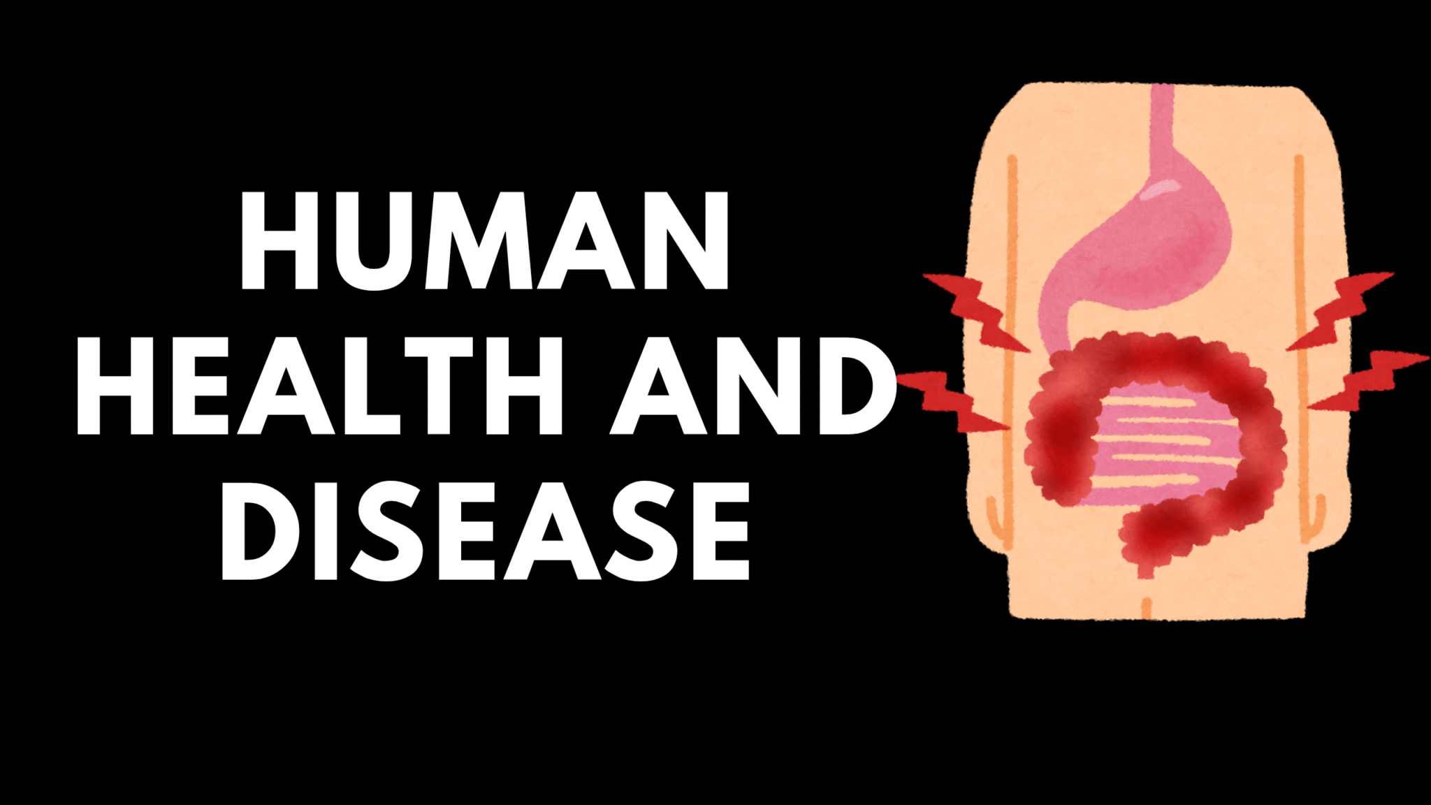 Human Health and Disease Class 12 Biology Notes | Detailed Explanation ...