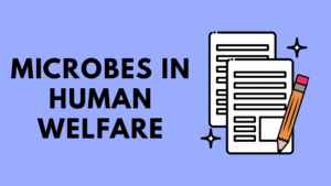 Microbes in Human Welfare