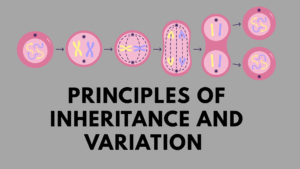 Principles of Inheritance and Variation