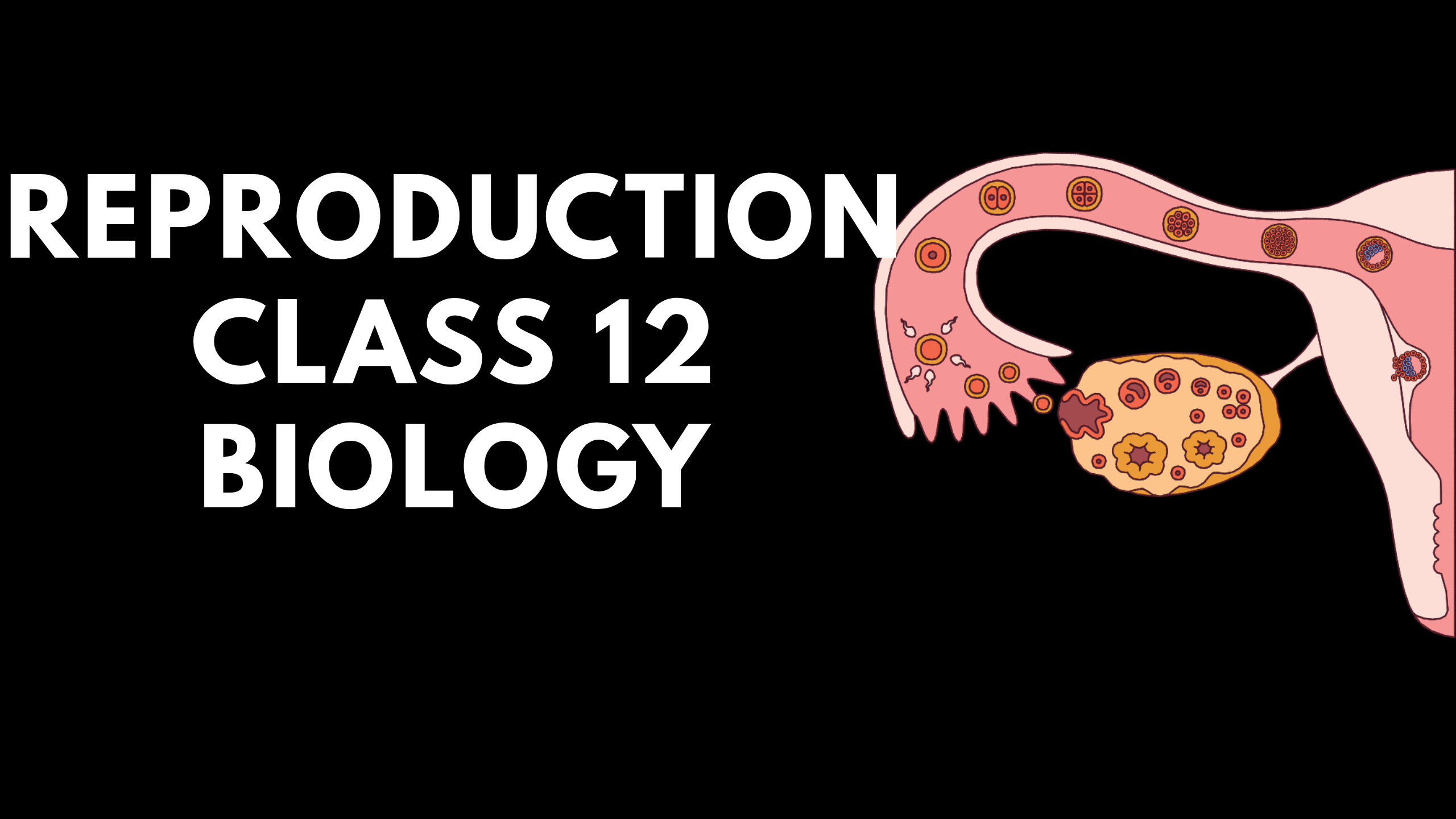 Reproduction Class 12 Biology