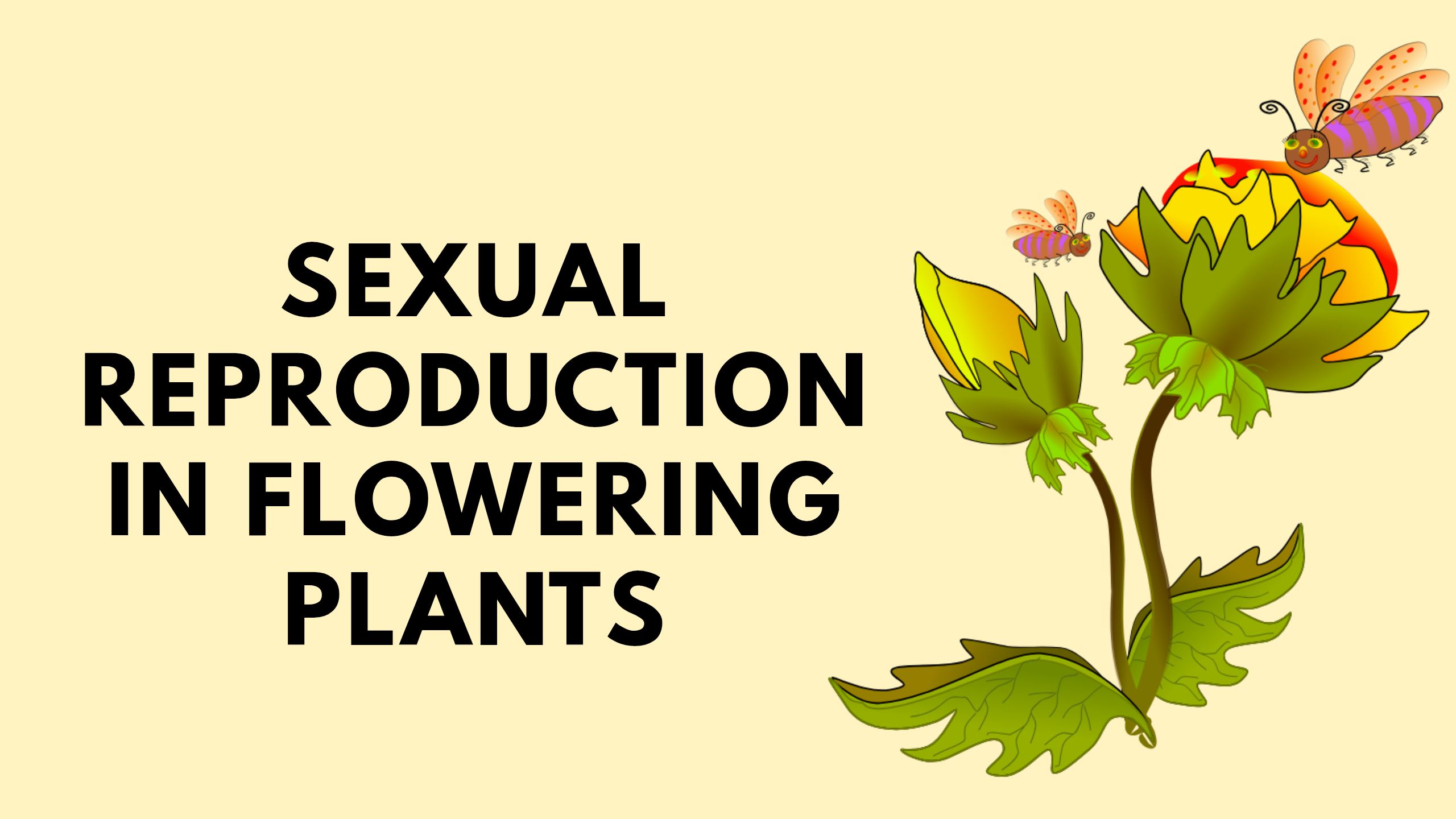Sexual Reproduction in Flowering Plants