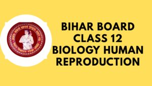 Bihar Board Class 12 Biology Human Reproduction