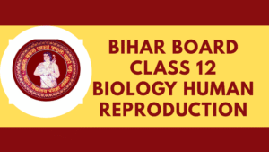 Bihar Board Class 12 Biology Human Reproduction