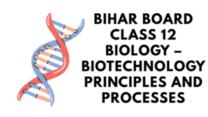 Biotechnology Principles and Processes