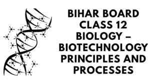 Biotechnology Principles and Processes