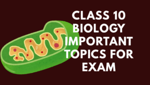 Class 10 Biology Important Topics for Exam