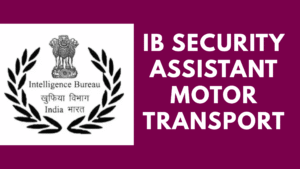 IB Security Assistant Motor Transport