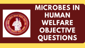 Microbes in Human Welfare Objective Questions
