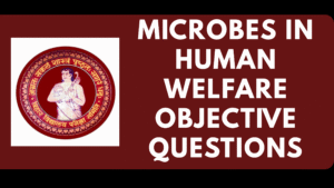 Microbes in Human Welfare Objective Questions