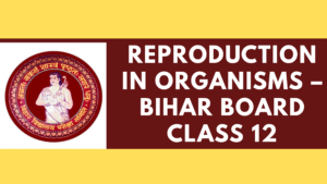 Reproduction in Organisms – Bihar Board Class 12 Biology