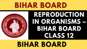 Reproduction in Organisms – Bihar Board Class 12 Biology